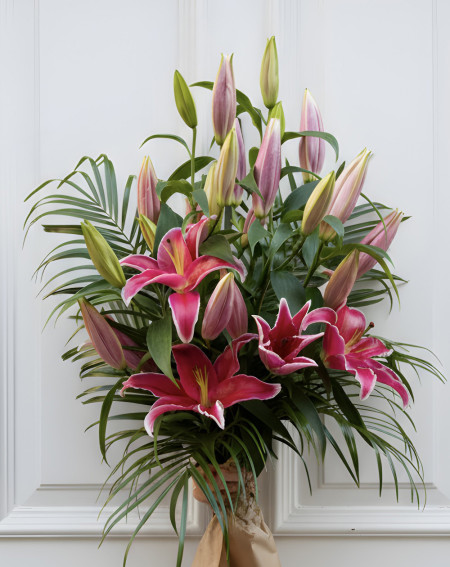 Pink Lily