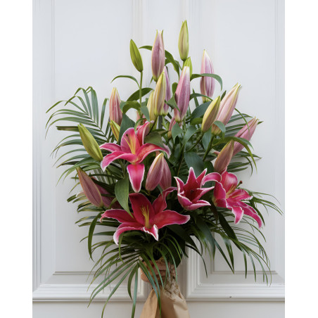 Pink Lily