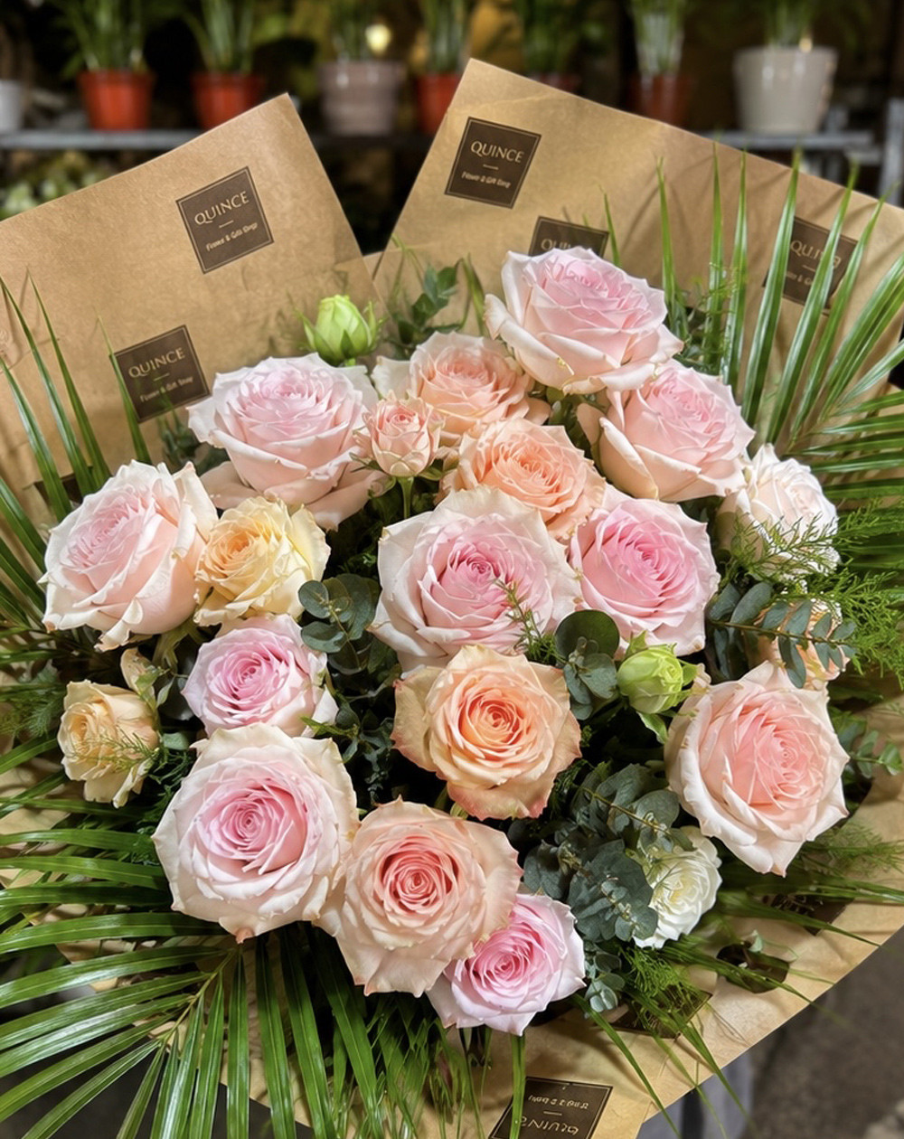 Blush Roses